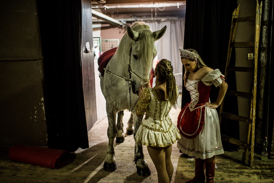 Cirkusz Fesztivál 2014 Budapesten