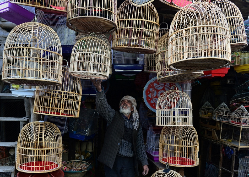 Kabul, Afganisztán: a madárpiac egyik árusának portékái